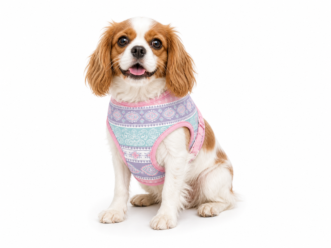 Pastel Paisley Dog Harness | Adjustable Pet Harness
