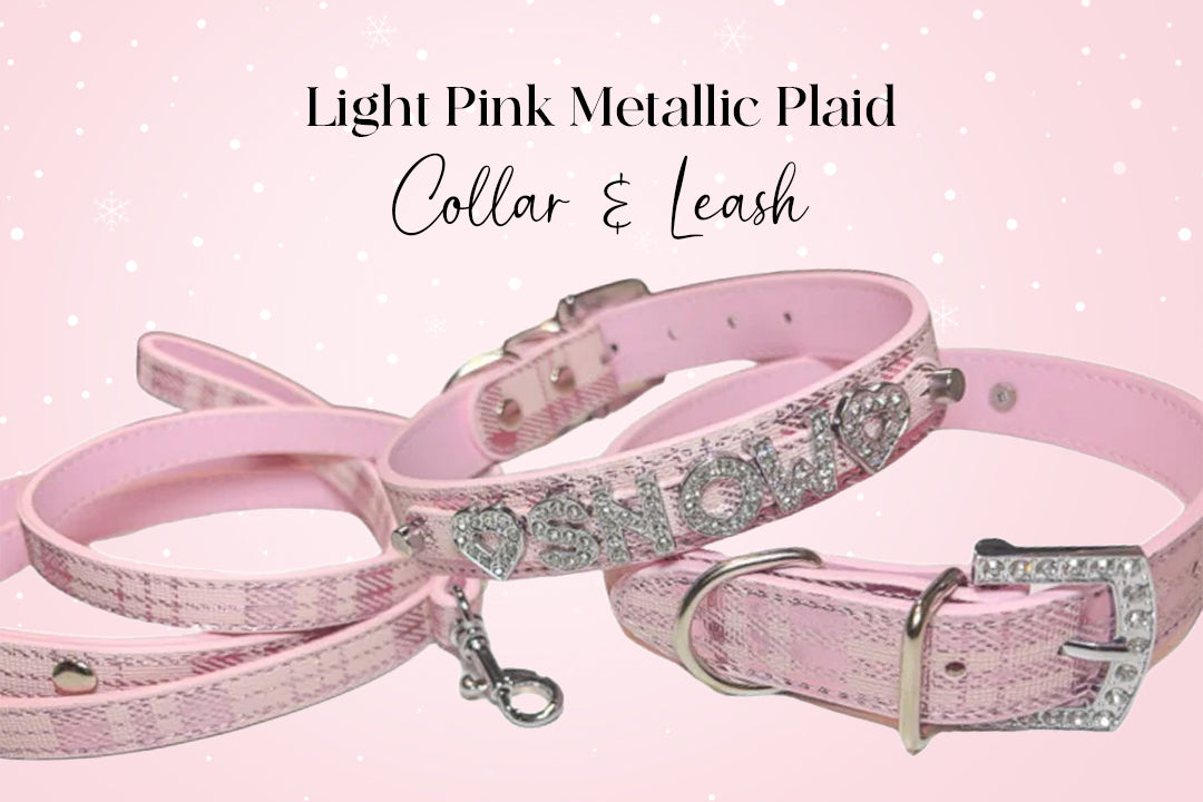 Eye Candy Aussie Bundle