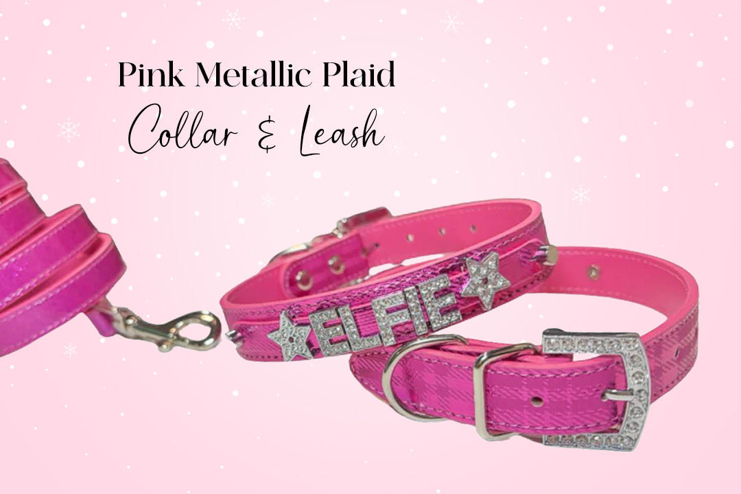 Drama Queen Doxie Bundle