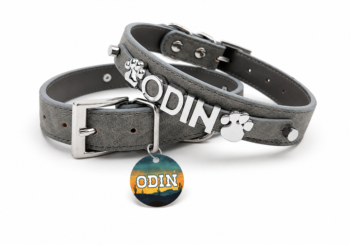 Desert Suedes Pet Collar