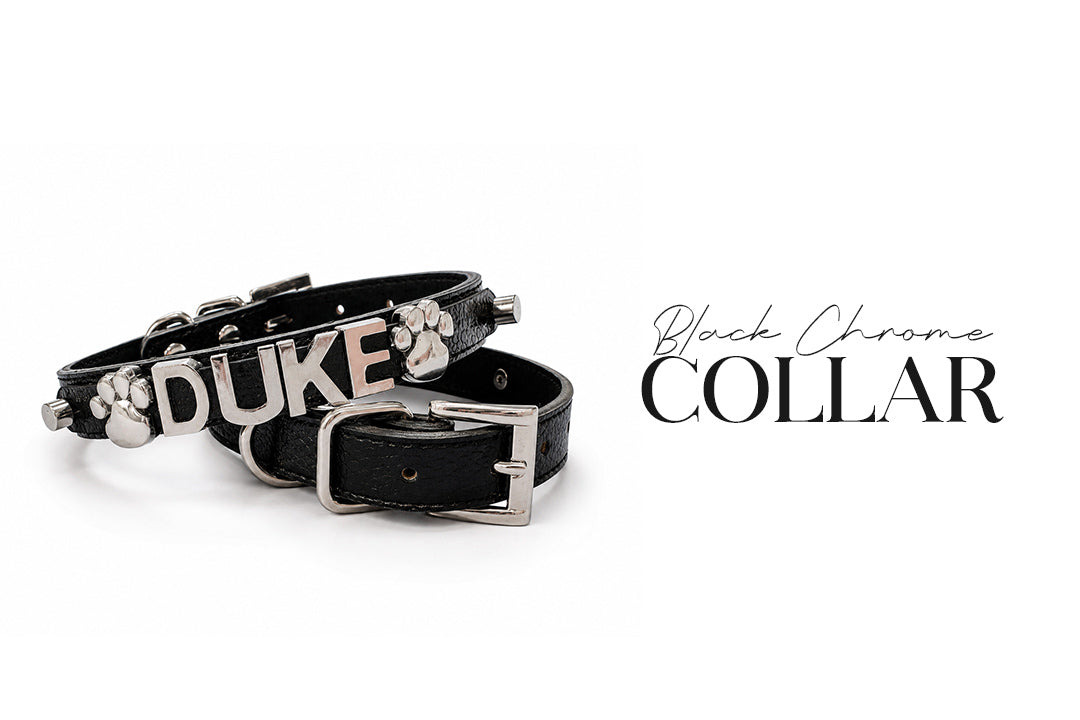 5 Piece Black Diamond Puppy Bundle