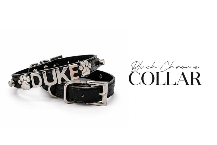 5 Piece Black Diamond Puppy Bundle
