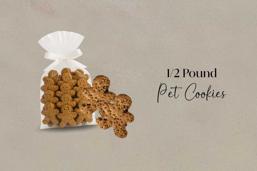 Brown Nosin' Beagle Bundle