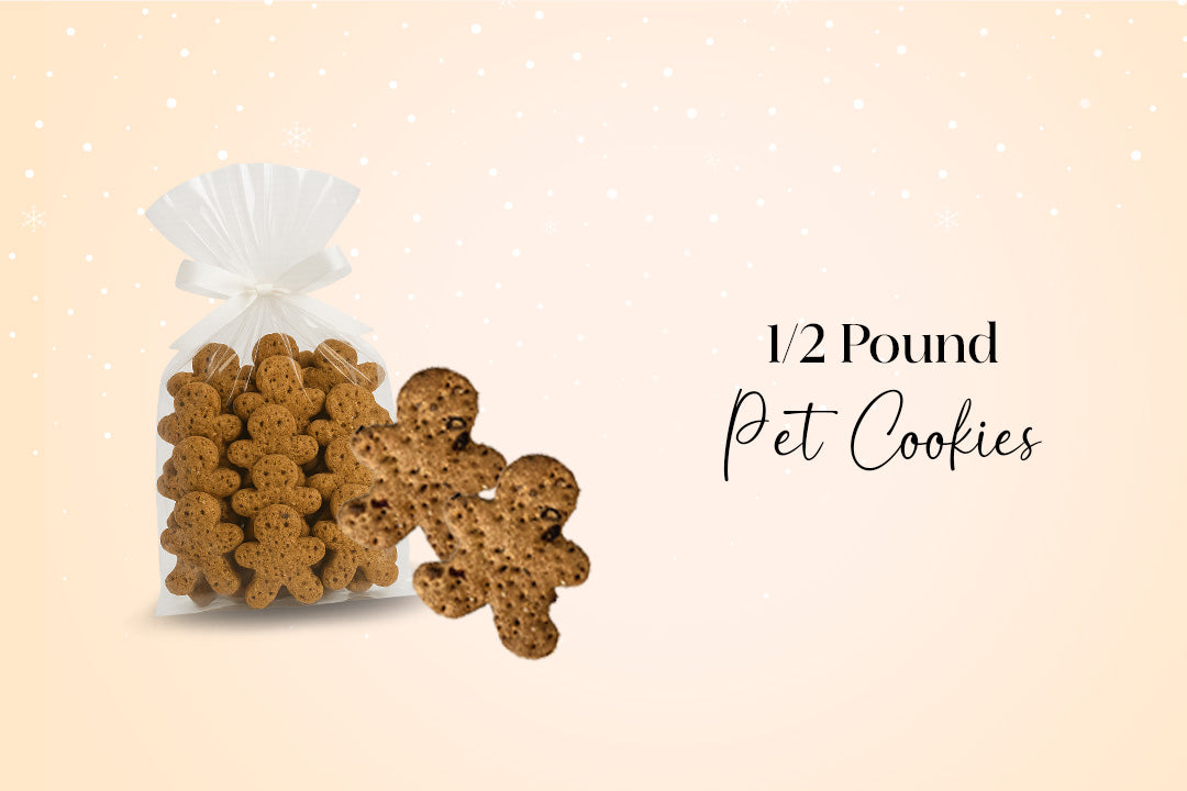 Shit Show Schnauzer Bundle