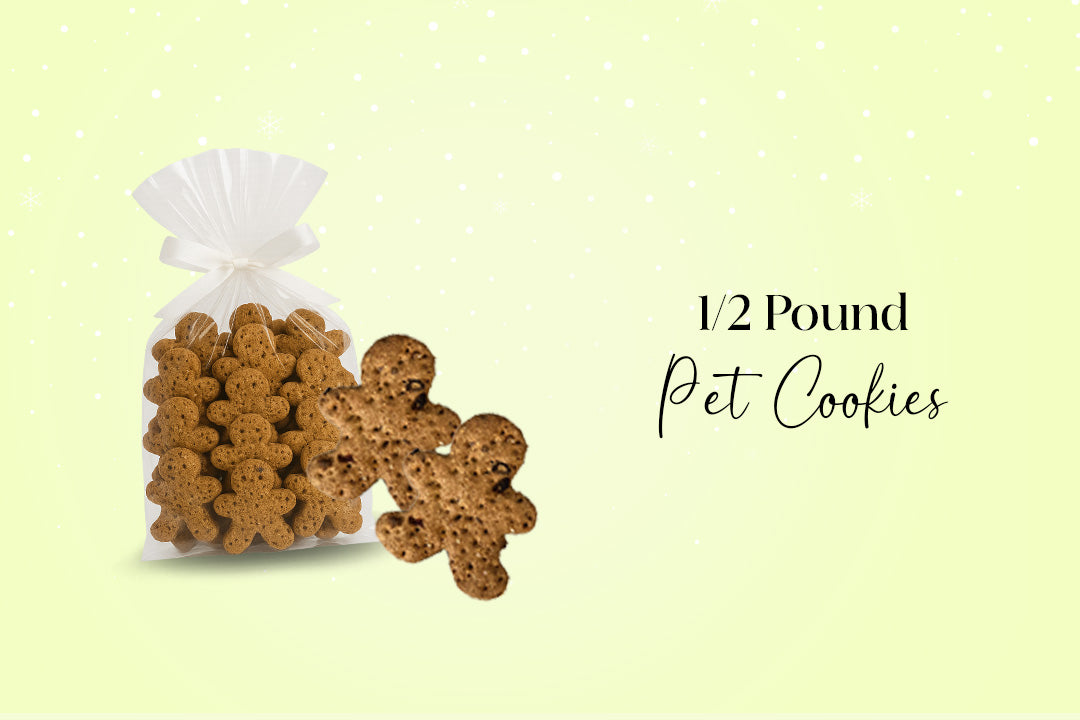 Hamptons Havanese Bundle