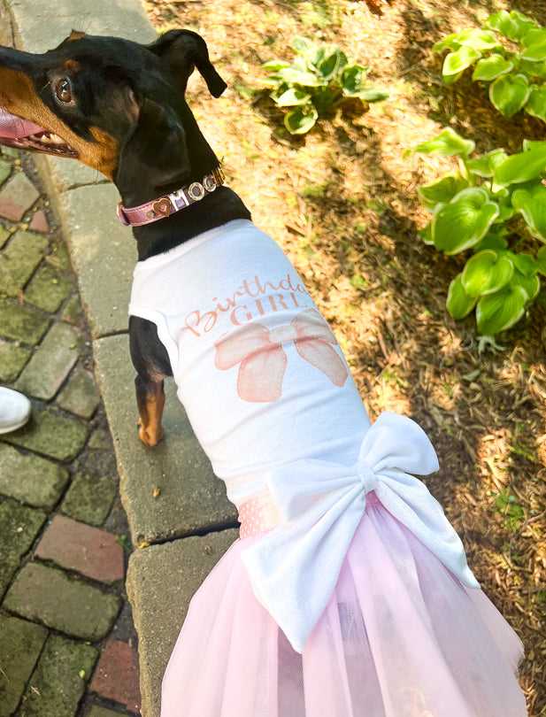 dress for big dogs Donbook Large Size Dog Clothes Golden Retriever Winter Pe Its a costume that embodies the fairy tale magic that Disney is known for UOSIA Formal Dog Dresses for