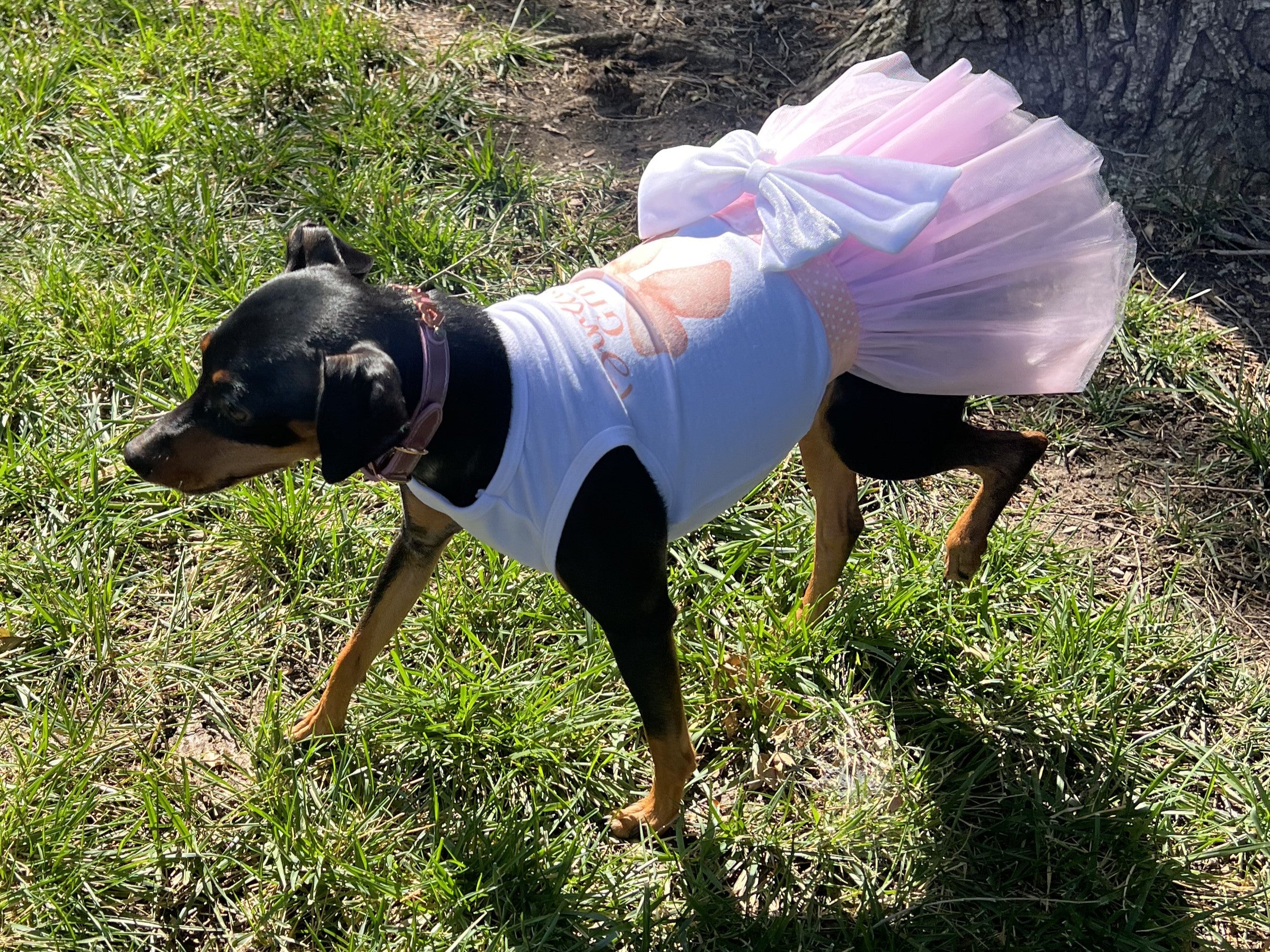 Coquette Birthday Outfit