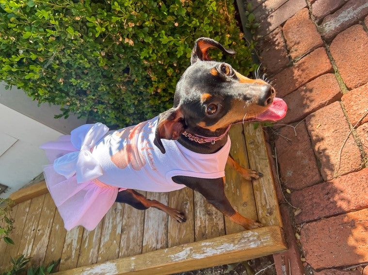 Coquette Birthday Outfit