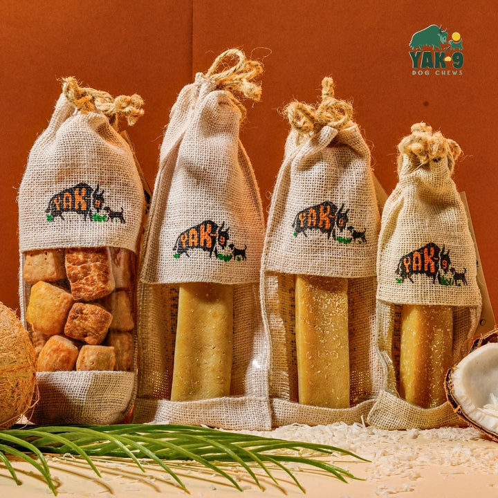 Coconut Cheese Chews for Dogs