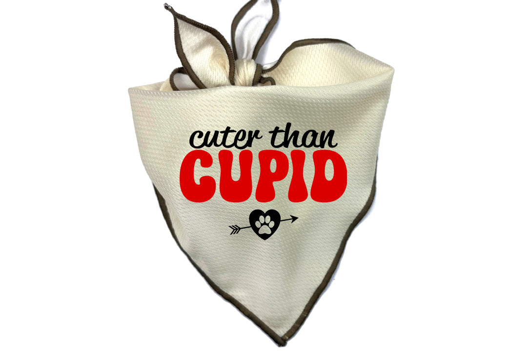 Free Gift With $50+ Purchase!