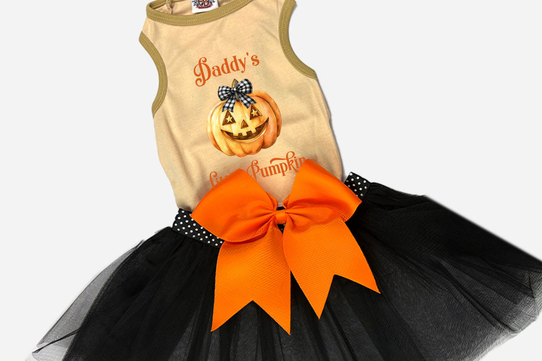 Halloween Dog  Costume | Mommy's/Daddy's Little Pumpkin