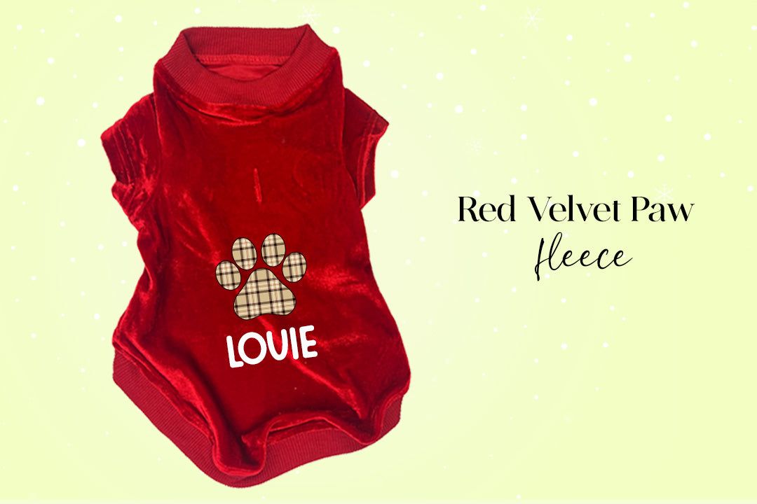 Hamptons Havanese Bundle