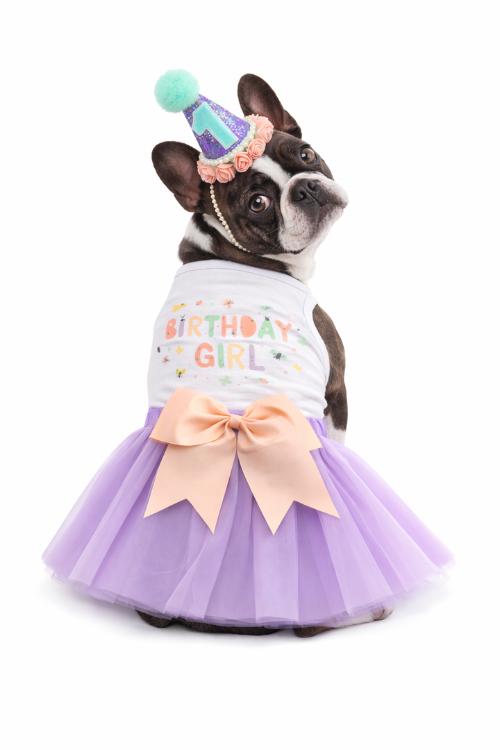 Personalized Birthday Girl Outfit | The Mariposa