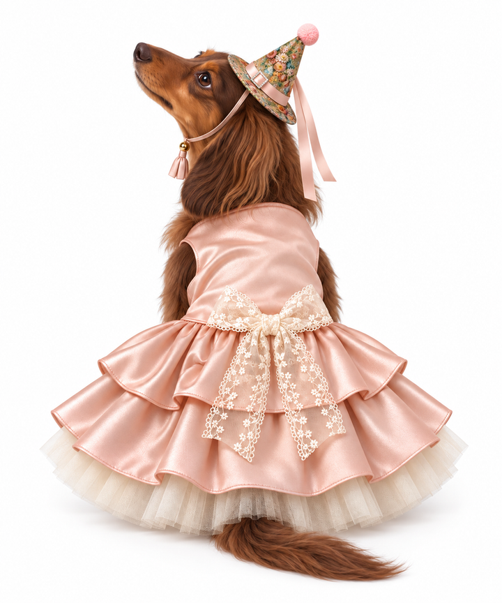 Bella Flora Good Witch Dog Costume