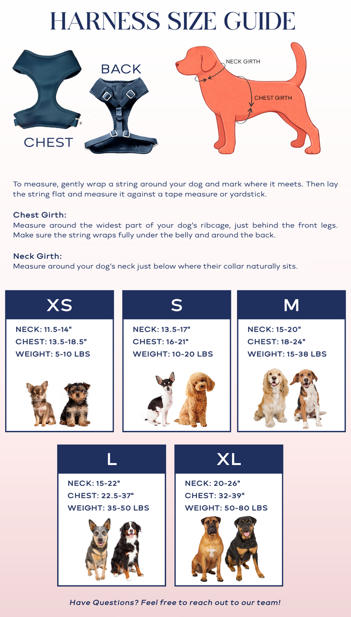 Little Diasy Dog Harness | Adjustable Pet Harness