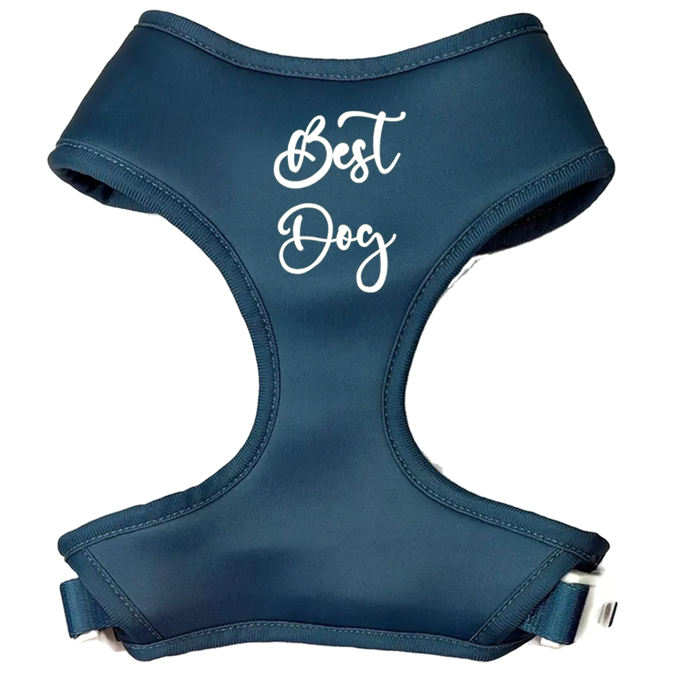 Best Dog Dusty Blue Satin Harness