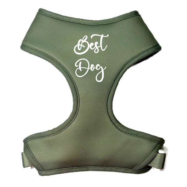 Best Dog Sage Satin Harness