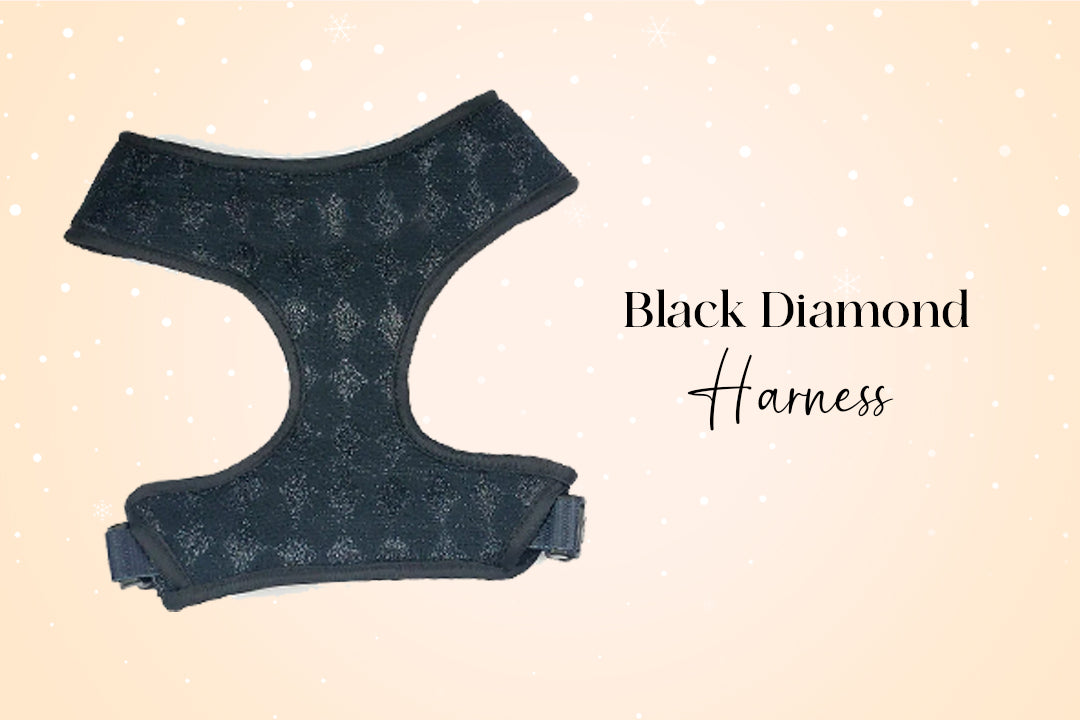 Shit Show Schnauzer Bundle