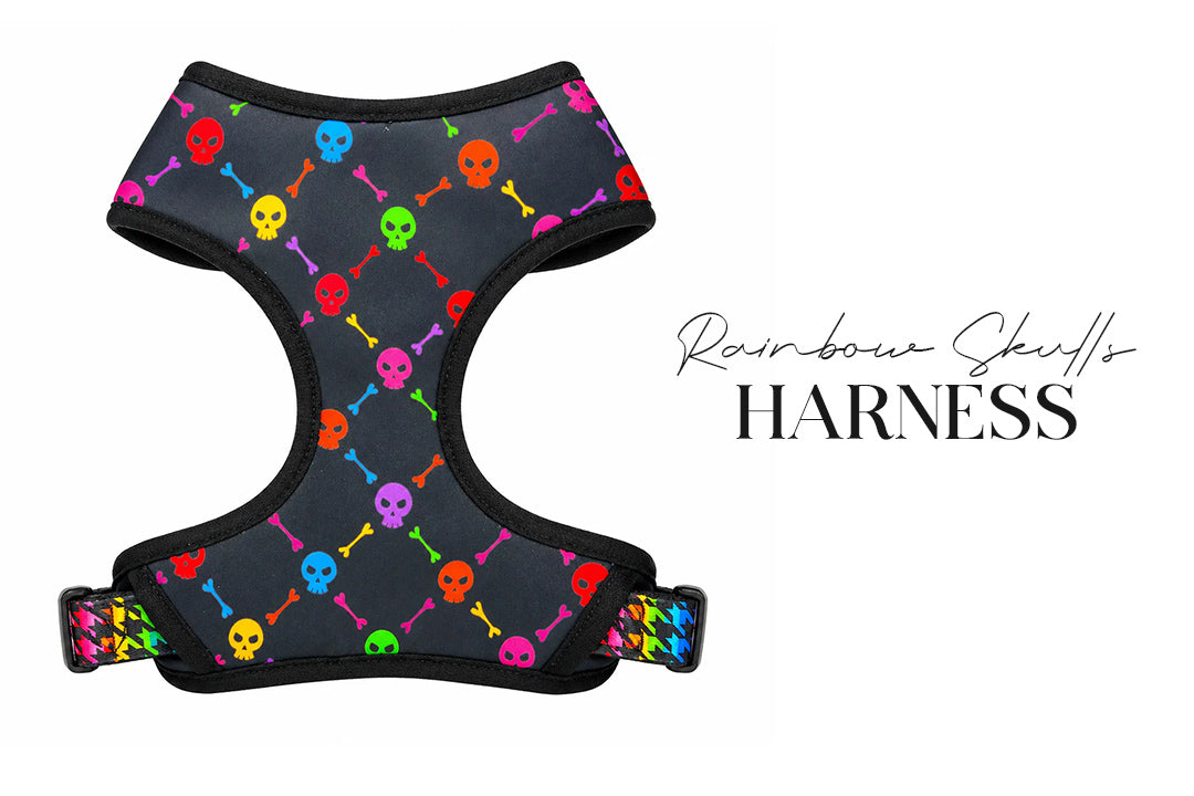 5 Piece Rainbow Skulls Puppy Bundle