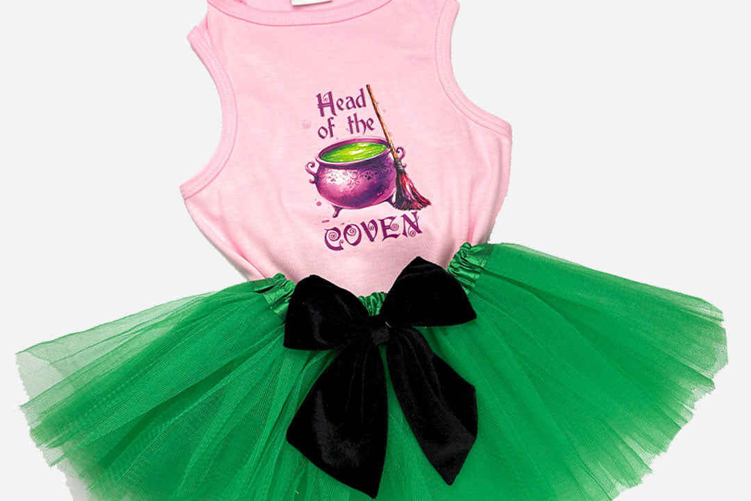 Halloween Dog  Costume | Head Of The Coven