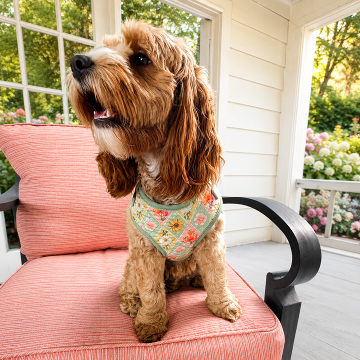 Heirloom Garden Quilted Dog Harness | Adjustable Pet Harness