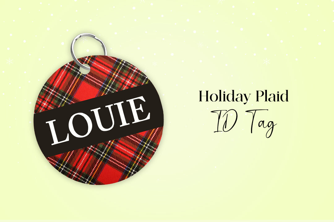 Hamptons Havanese Bundle