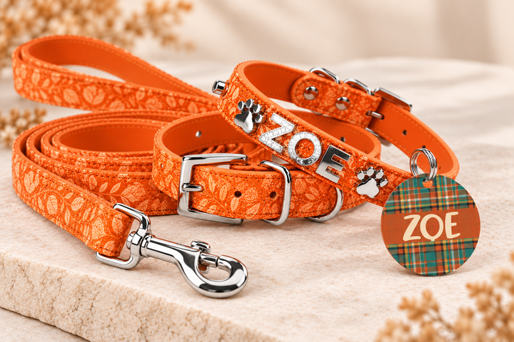 Pumpkin Spice Collar - FREE ID Tag with set purchase!
