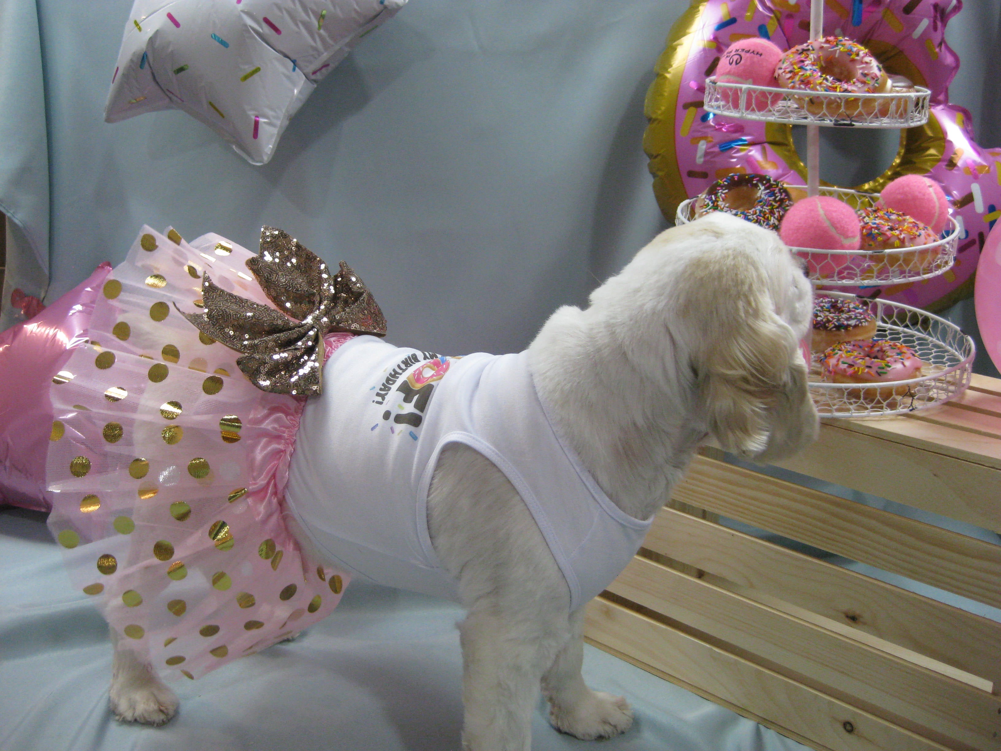 Birthday Party Package | Donut Surprise