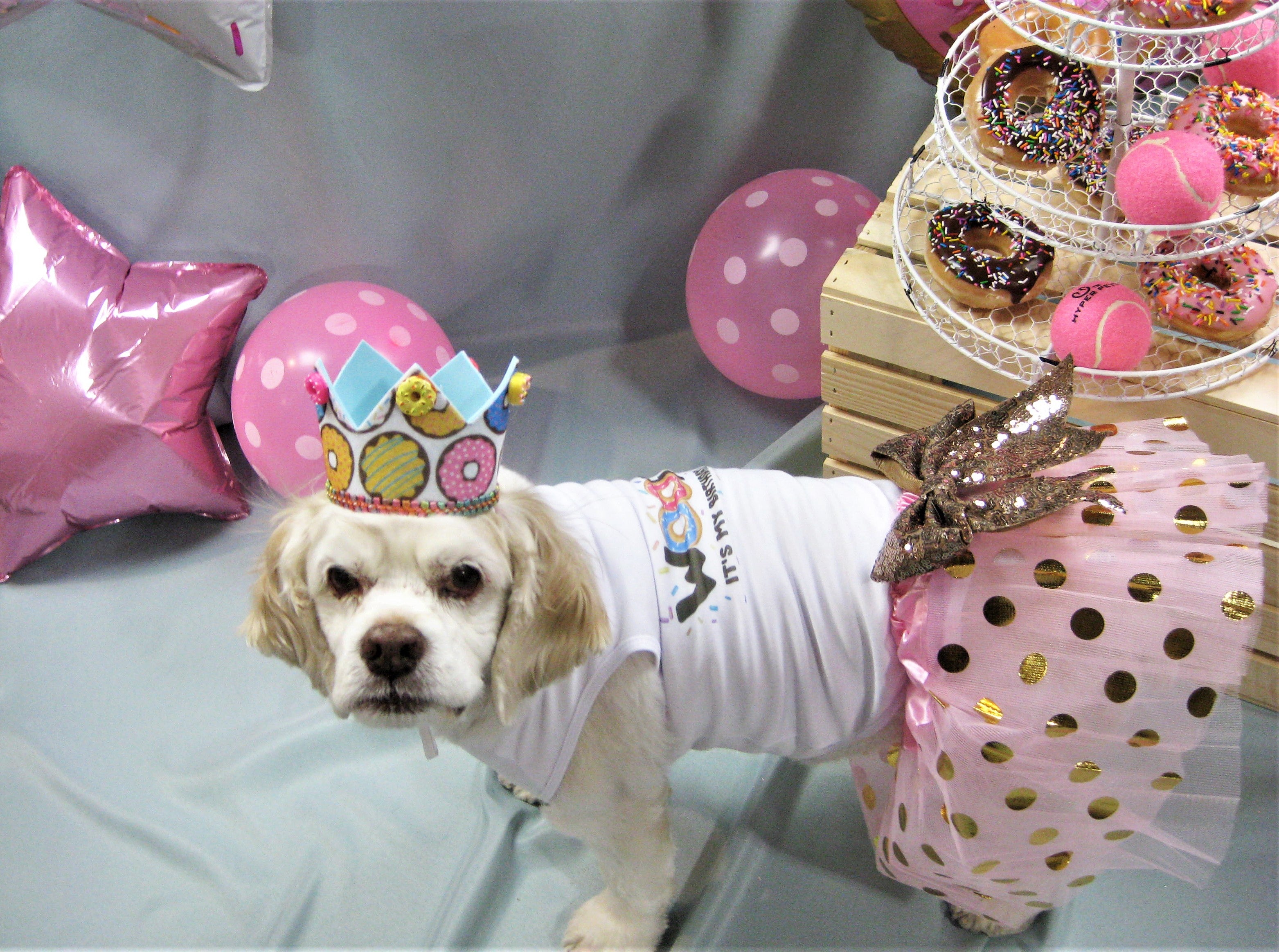 Birthday Party Package | Donut Surprise