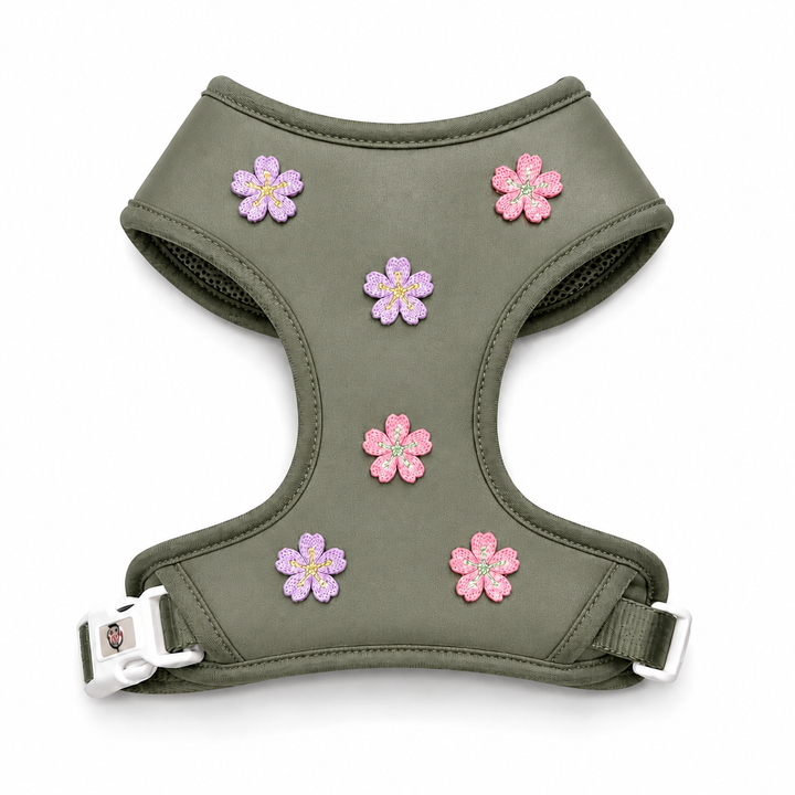 Little Diasy Dog Harness | Adjustable Pet Harness