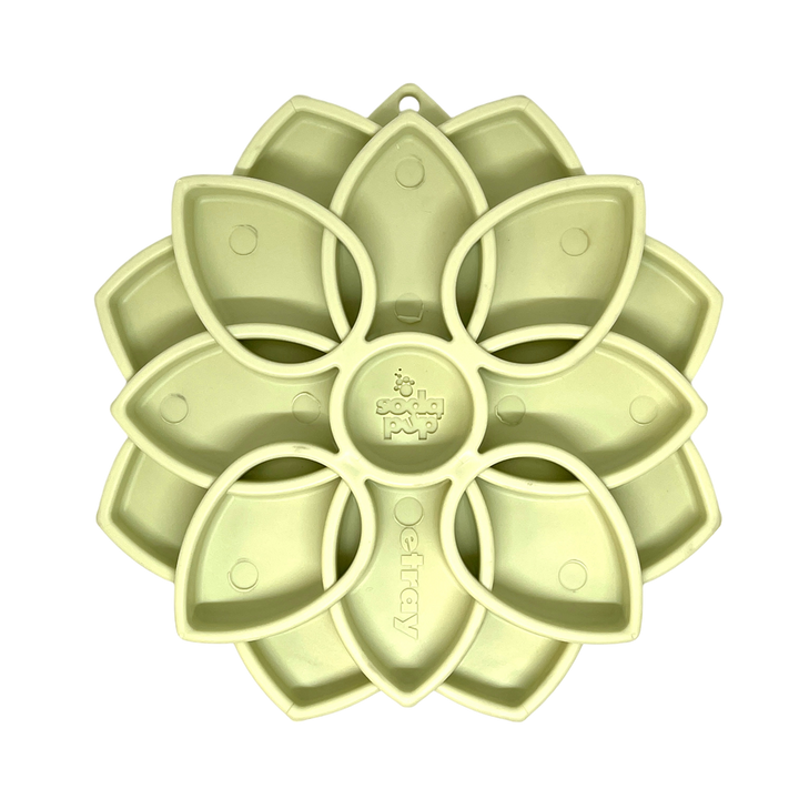 Mandala Softie eTray Shallow Slow Feeder Dog Bowl with Suction Cups |  USA Made