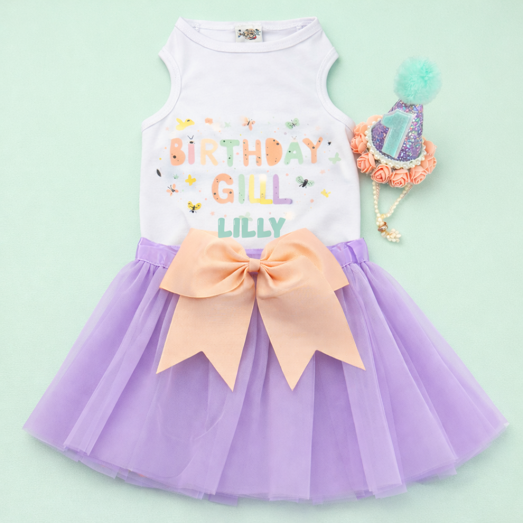 Personalized Birthday Girl Outfit | The Mariposa