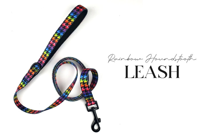 5 Piece Rainbow Skulls Puppy Bundle