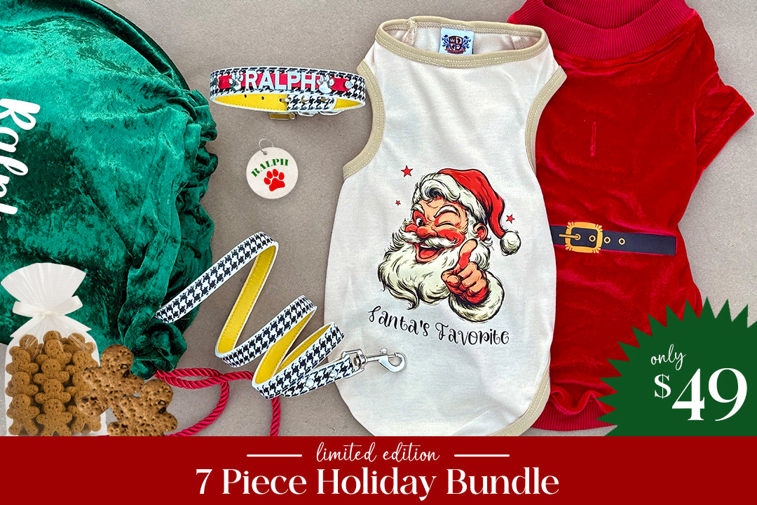 Brown Nosin' Beagle Bundle