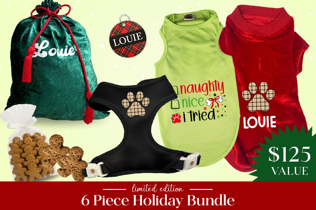 Hamptons Havanese Bundle