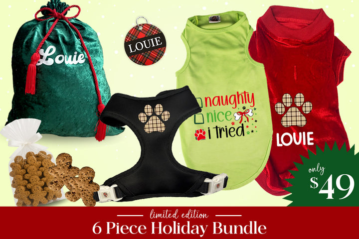 Hamptons Havanese Bundle