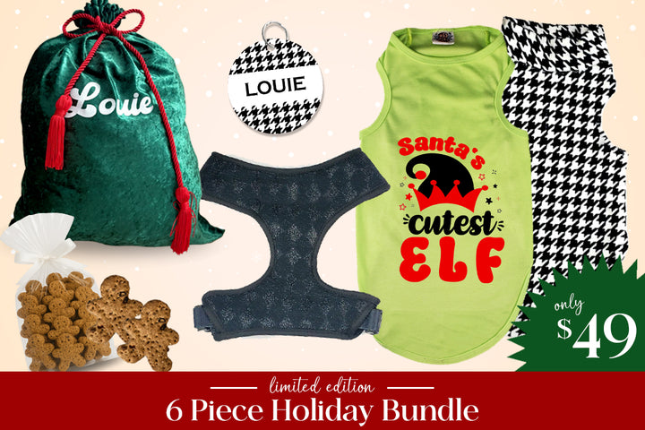 Shit Show Schnauzer Bundle