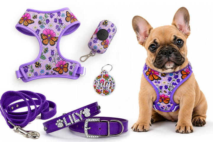 5 Piece Mariposa Puppy Bundle