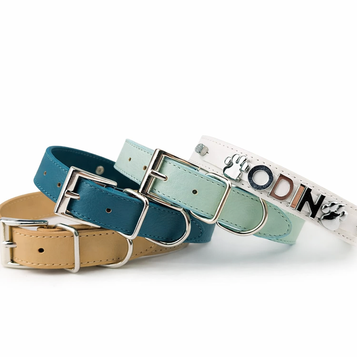 The Tidewater Collection Pet Collar