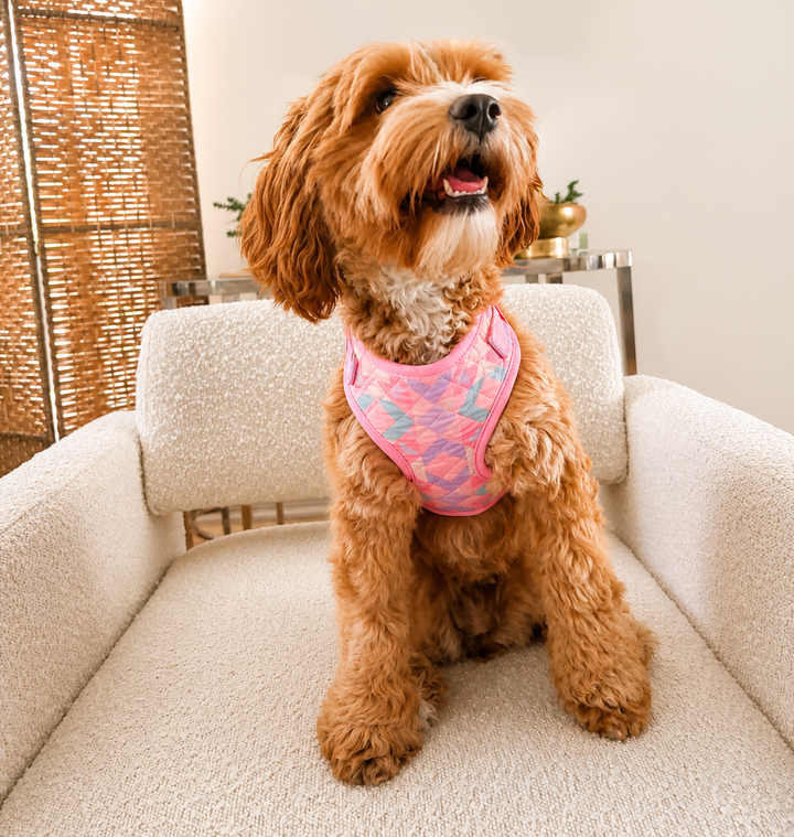 Low Country Dog Harness | Pastel Print Adjustable Pet Harness