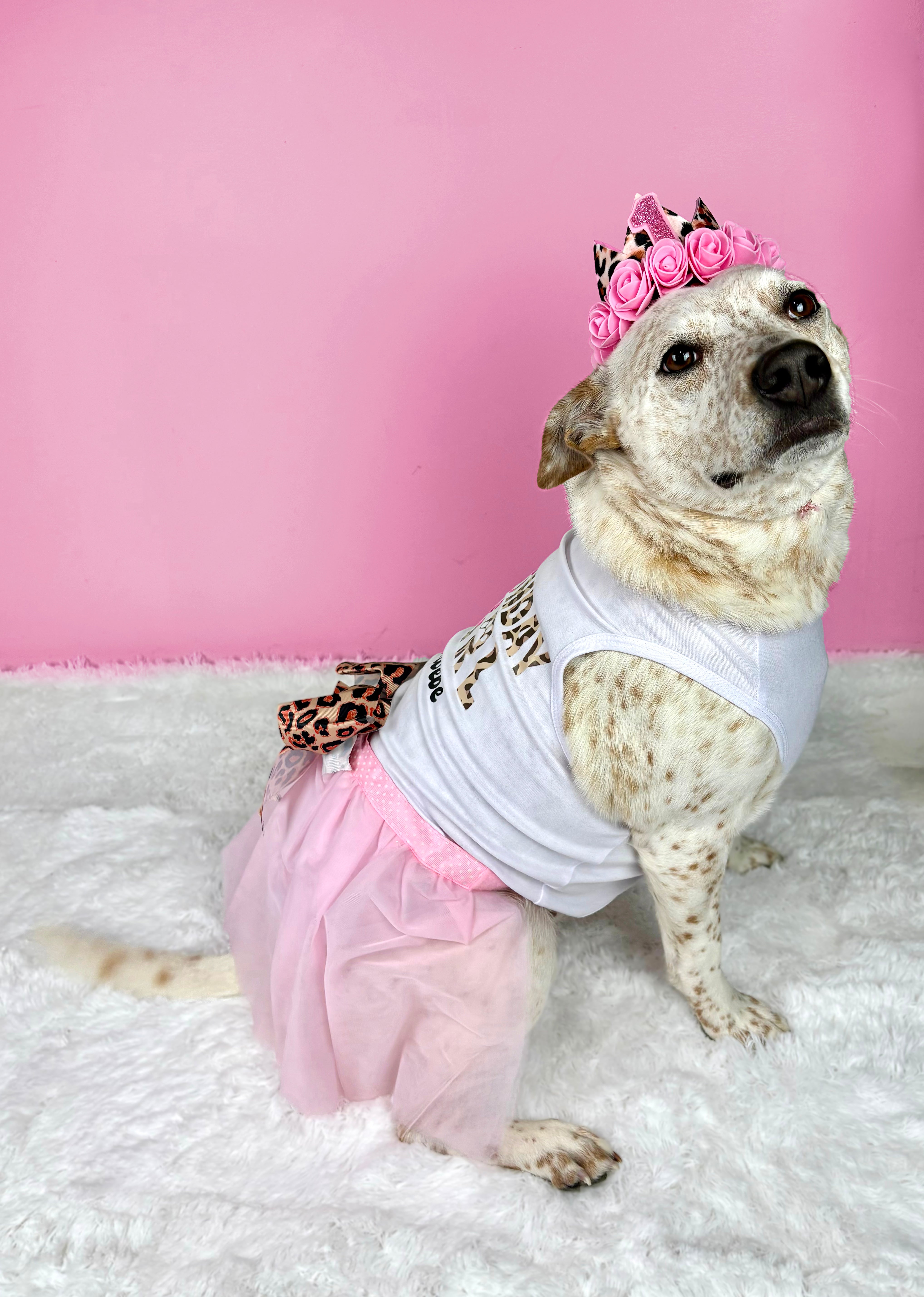 Personalized Birthday Girl Outfit | The Pink Cheetah