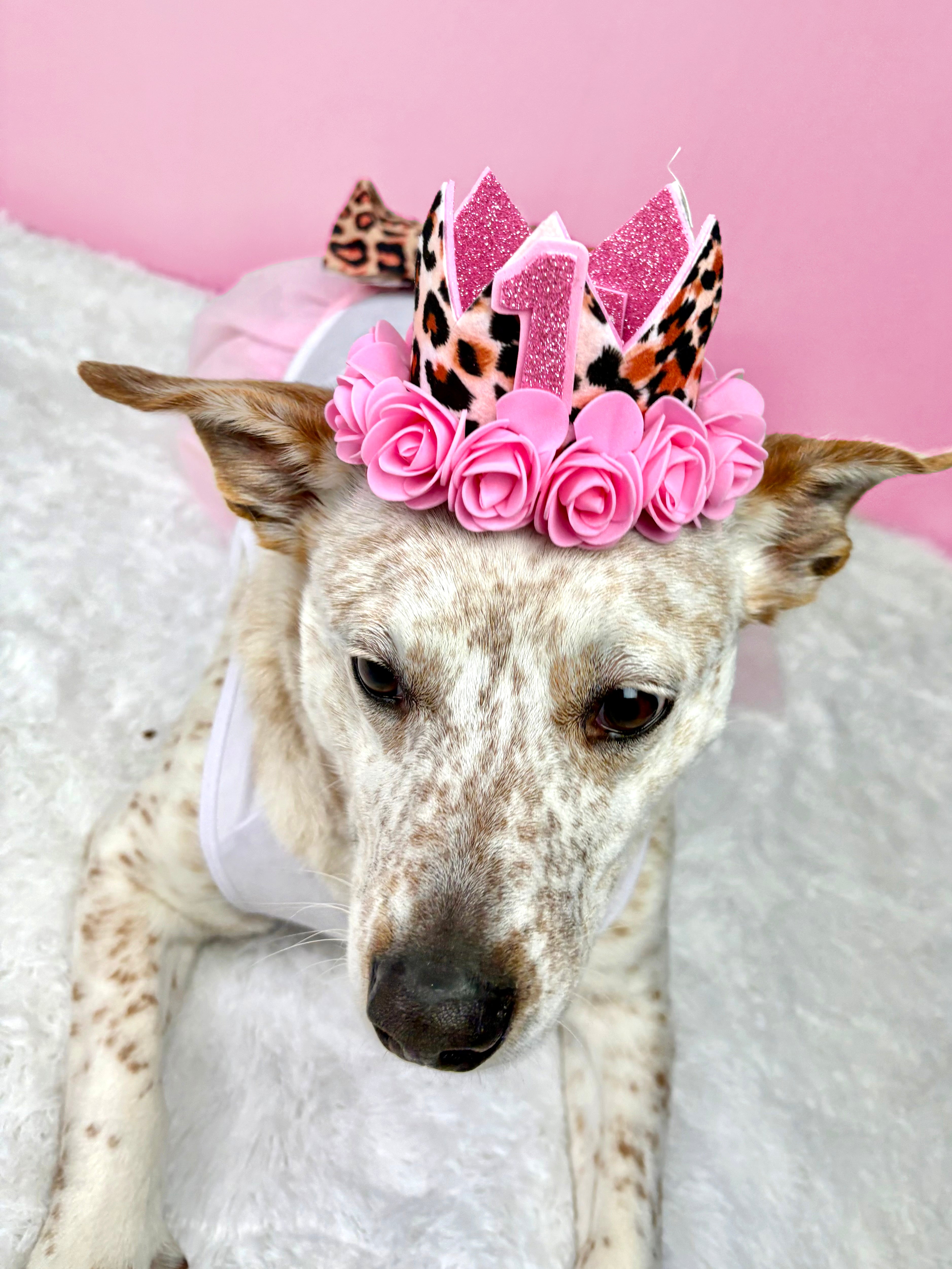 Personalized Birthday Girl Outfit | The Pink Cheetah