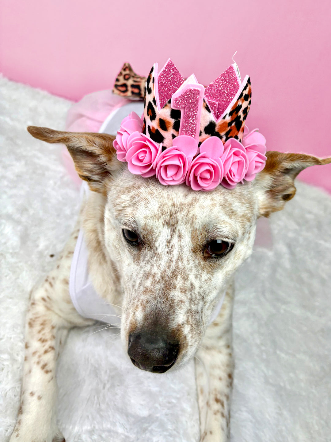 Personalized Birthday Girl Outfit | The Pink Cheetah