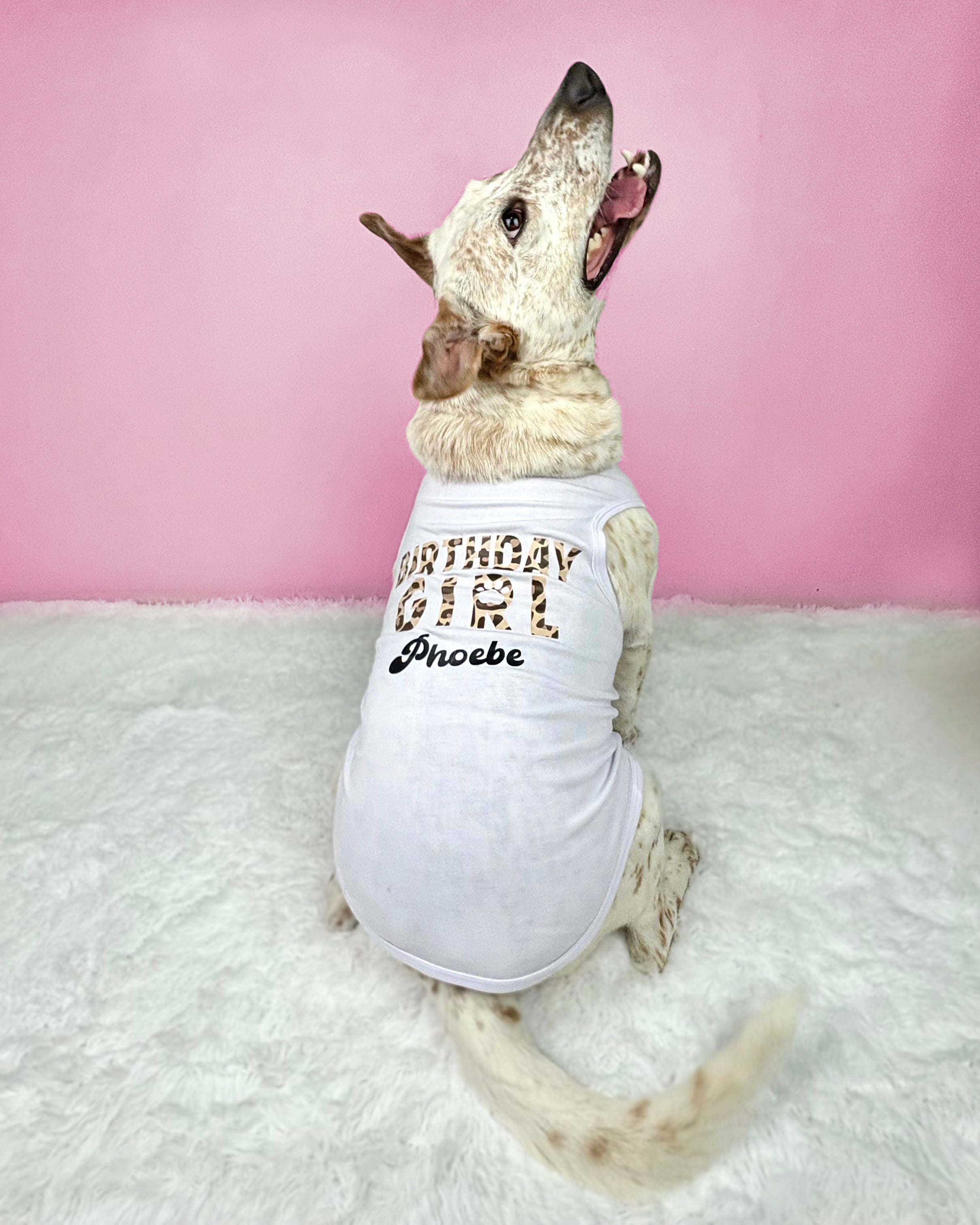 Personalized Birthday Girl Outfit | The Pink Cheetah