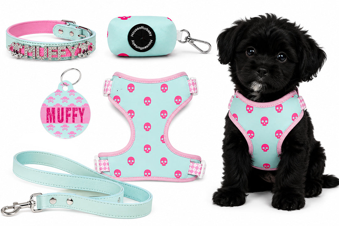 5 Piece Pink Skulls Puppy Bundle