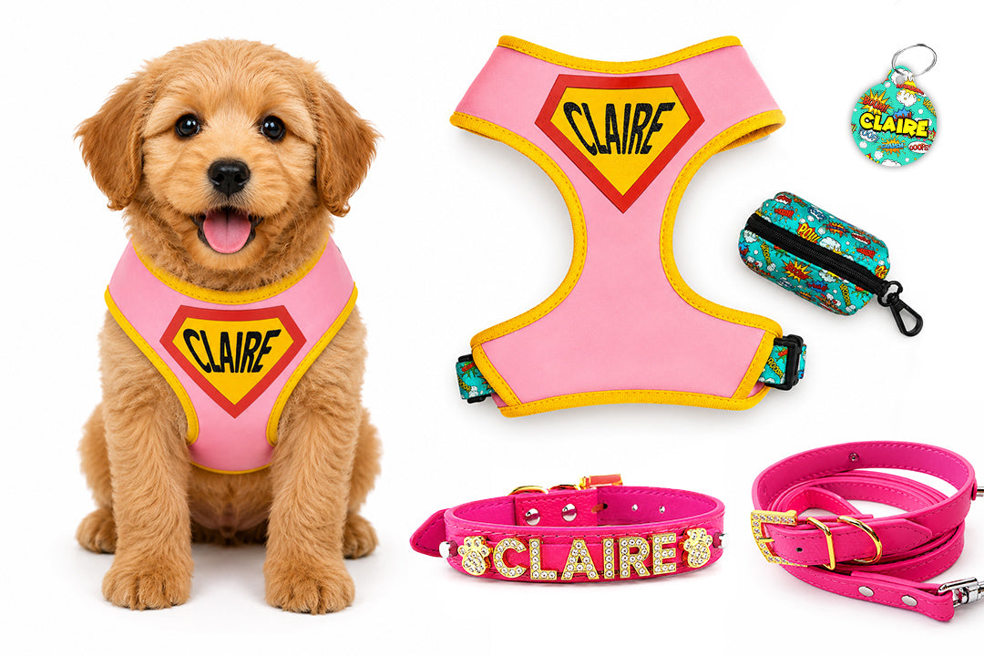 5 Piece Personalized Pink Superhero Puppy Bundle