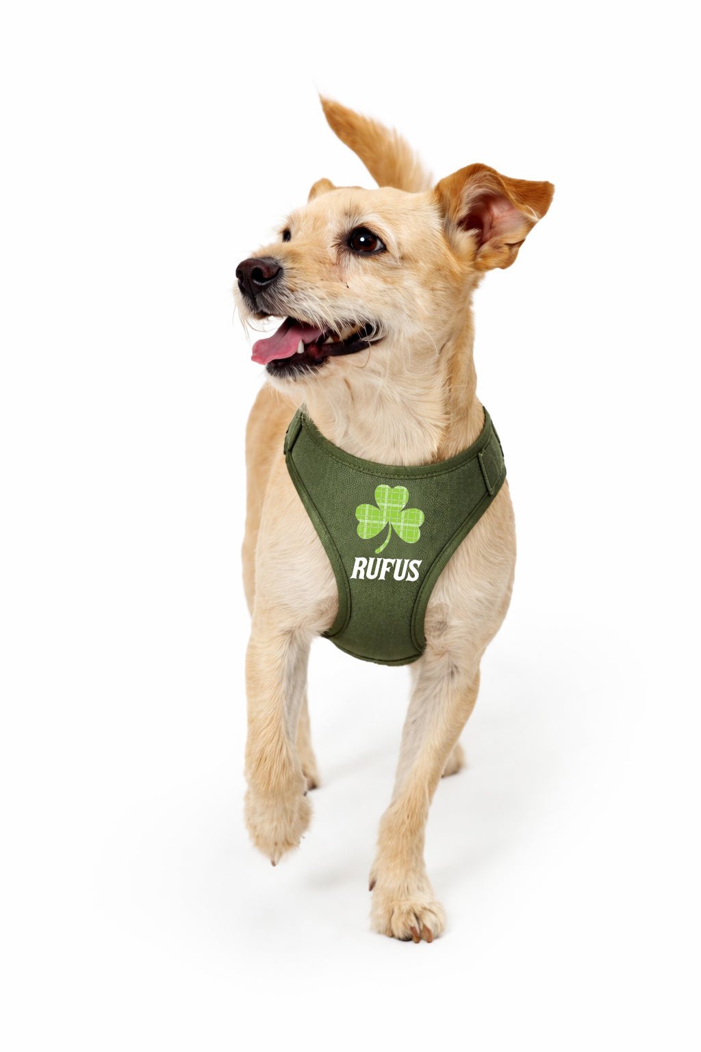 Plaid Clover Harness