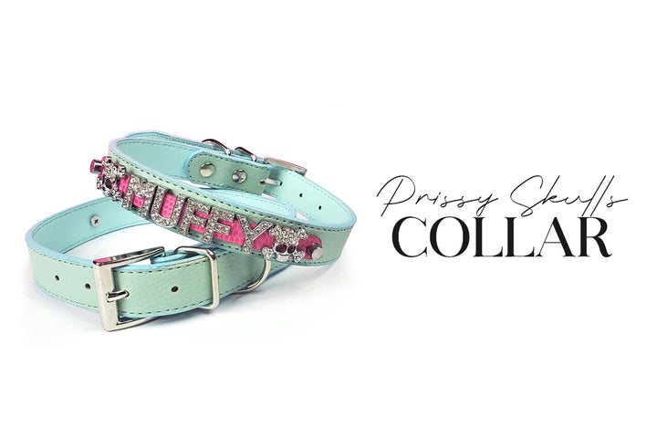 5 Piece Pink Skulls Puppy Bundle