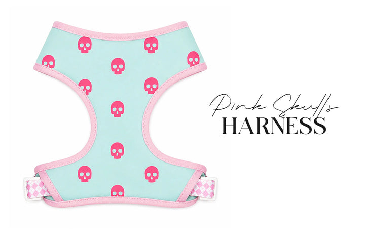 5 Piece Pink Skulls Puppy Bundle