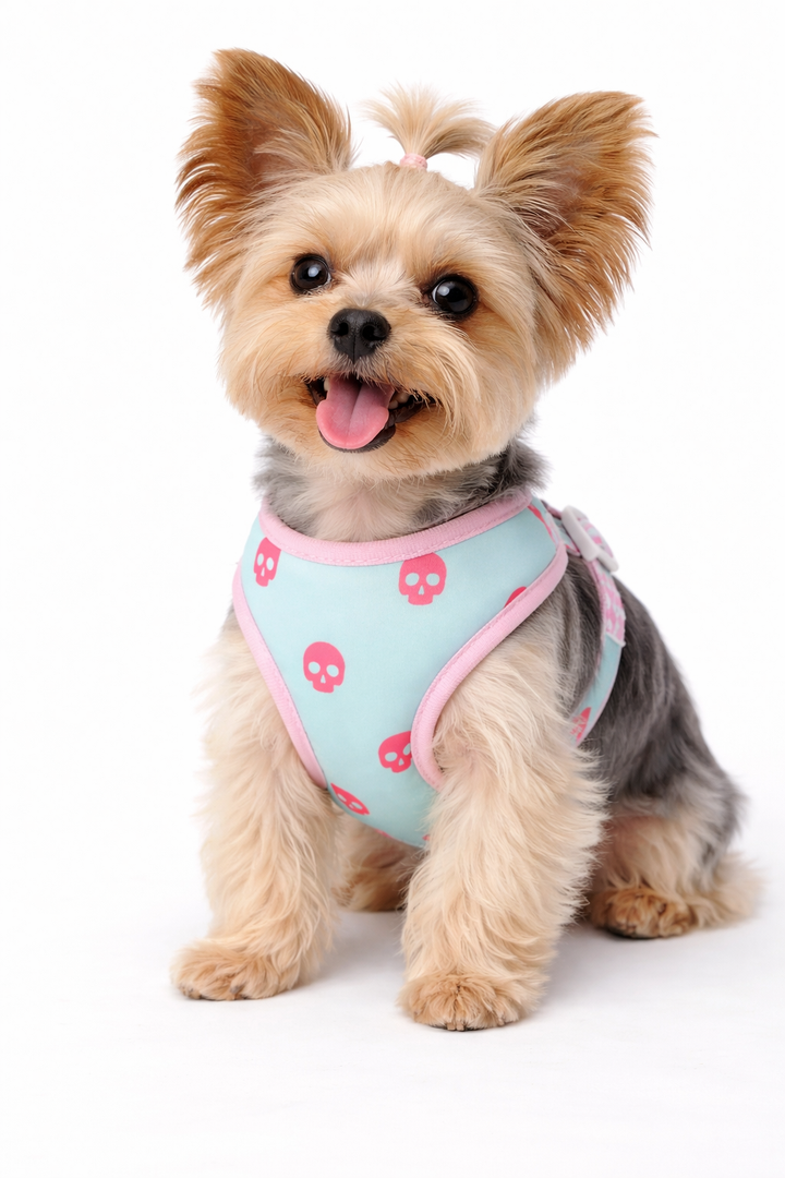 Prissy Pink Skulls Personalized Harness